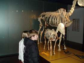 Cecilie and Kristian at the Zoological Museum in Aarhus.