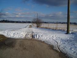 you might say that it is a pretty sight. but i would like the cycle path to be cleared.