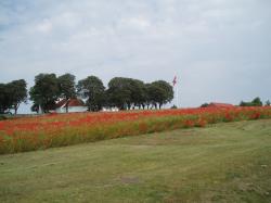 S smukt er der ved Knebel Kirke. That's how beautiful it can be in Denmark. The church is at Knebel, Mols.