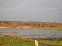 Brabrandstien ved Stautrup.