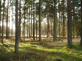 S smukt kan det vre den 23/12 - That is how nice it can be on December 23rd.
