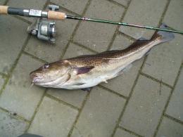 Cecilies største fisk til nu.