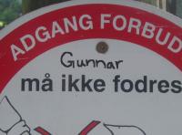 Billedet lavet af ældste barnebarn, Katrine. Sødt af hende, ikke?