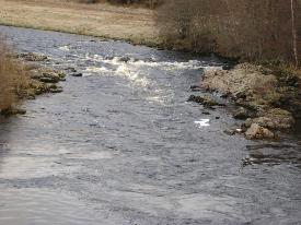 Salmon river Dee