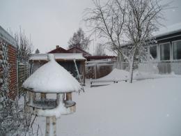 Lots of snow in our garden. Fortunately I could leave this and clear in front of the house.